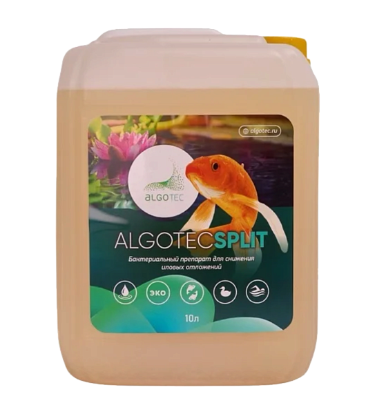 ООО "Альготек" - 1